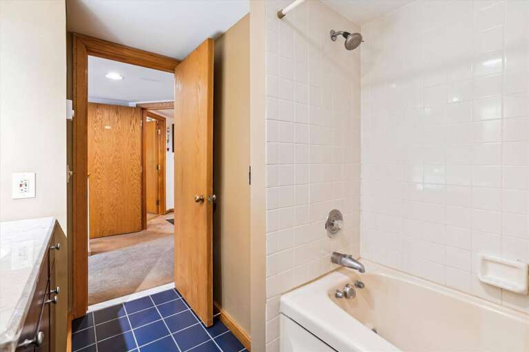 Tub and Shower Bathroom