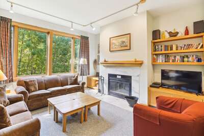 Living Room with Forest Views