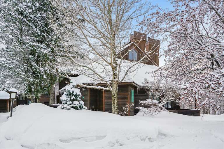 Winter Arrival at Highridge