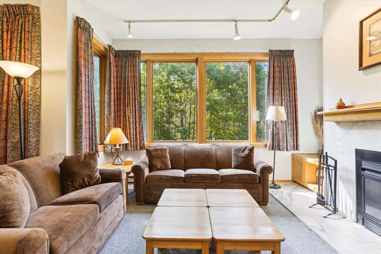 Living Room with Fireplace