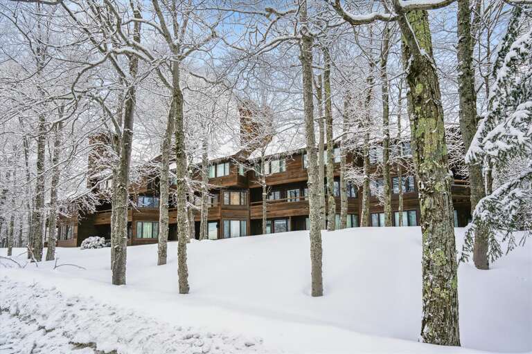 Winter at Highridge