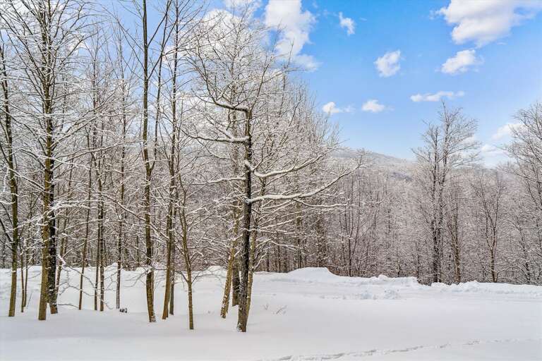 Great scenery from your condo! Great scenery from your condo!