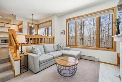 Bright Living Space with Mountain Views