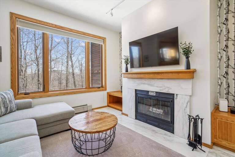 Modern Mountain Living Room