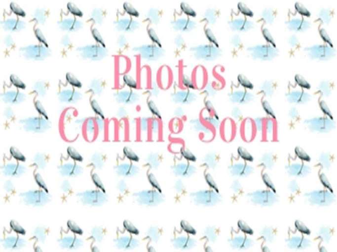 Placeholder Image With Text Photos Coming Soon And Bird Pattern