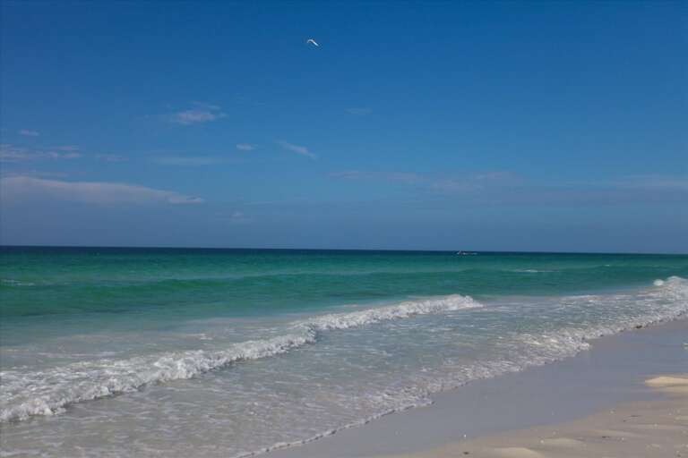 Siesta Key Condo Rental