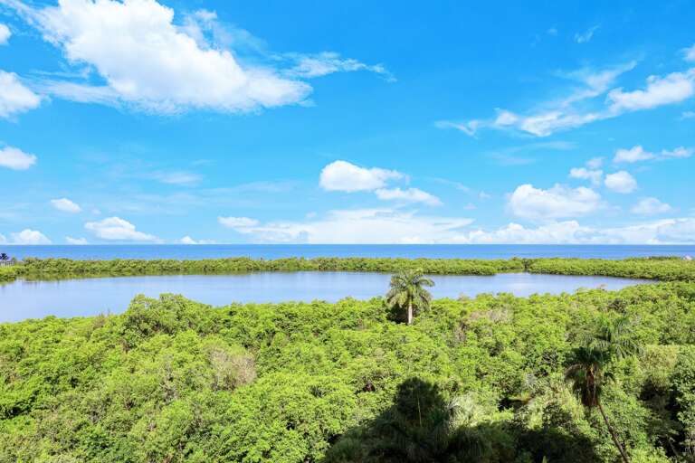 View of Mangroves & Gulf