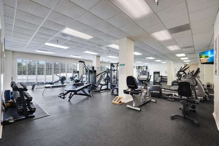 Find Rentals