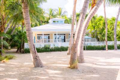 Island Palm Estate Shore Breeze