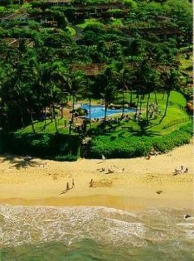 Beachfront Property With Swimming Pool And Palm Trees