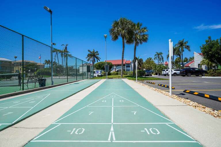 Shuffleboard