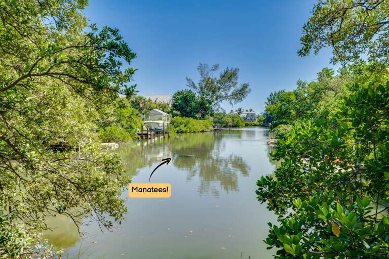 Canal Views w/ Manatees Canal Views w/ Manatees