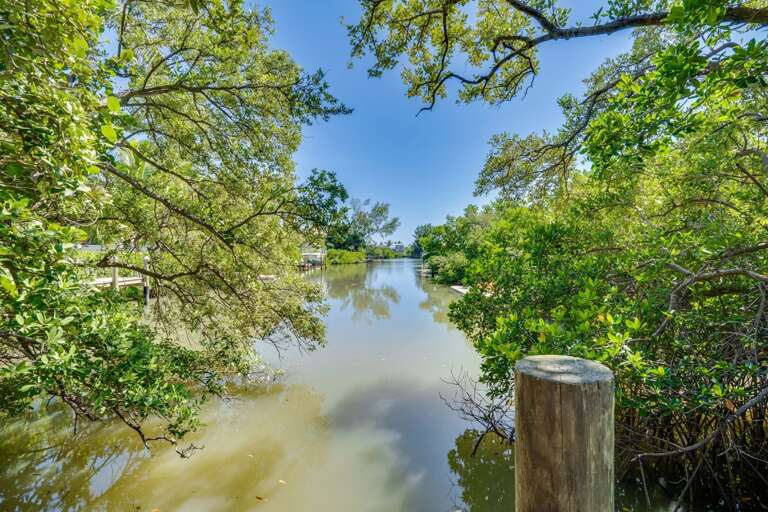 Viewing Dock Viewing Dock