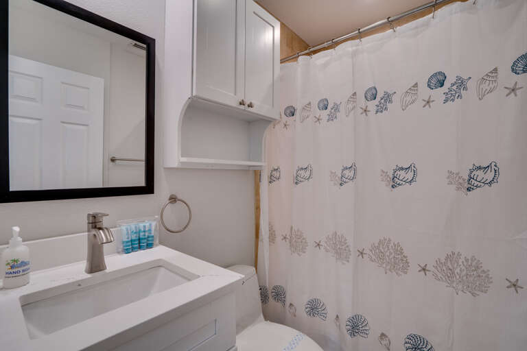 South Primary Bathroom