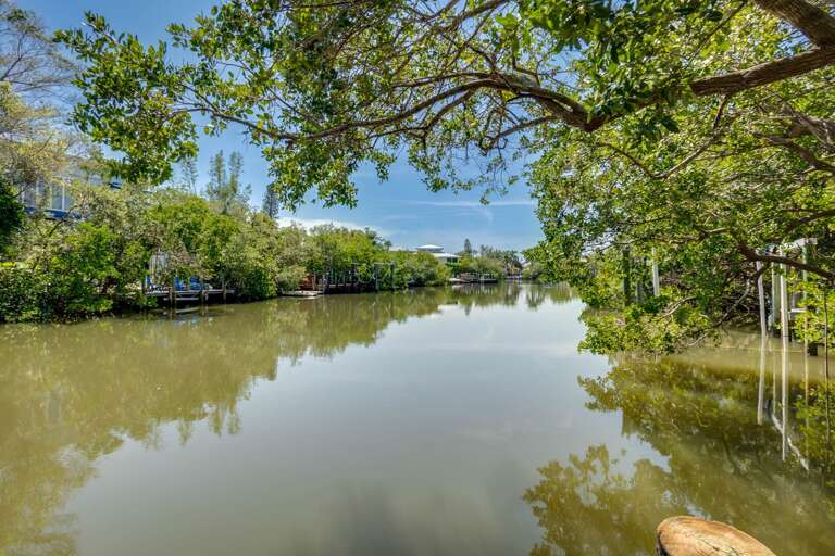 View from Dock