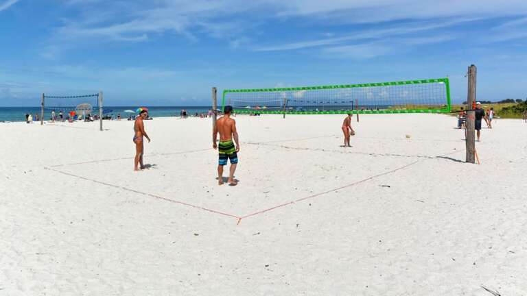 Loads of Activity Available