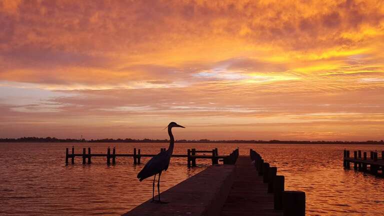 Charter Fishing at Sunrise Leaves Time for the Beach Later