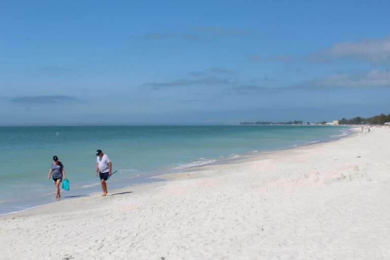 Searching for Shells or Just a Stroll is Easy Exercise