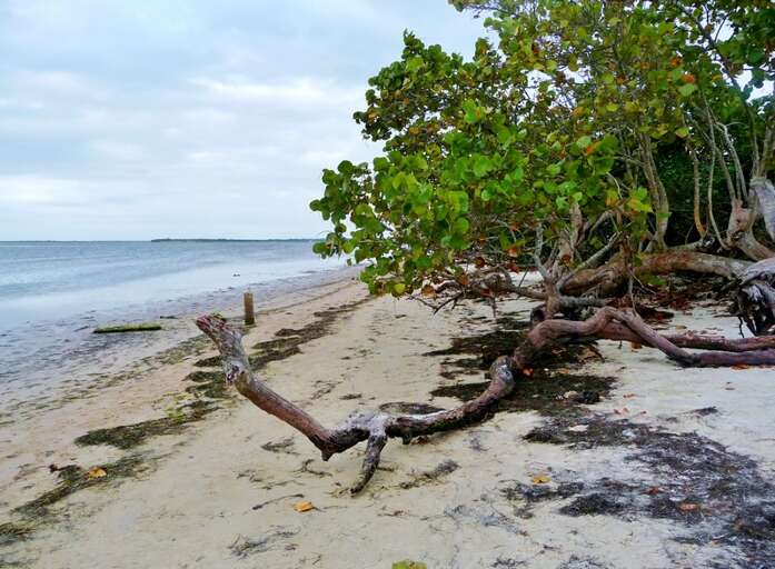 Ft. DeSoto Nat'l. Monument Beach and Trails