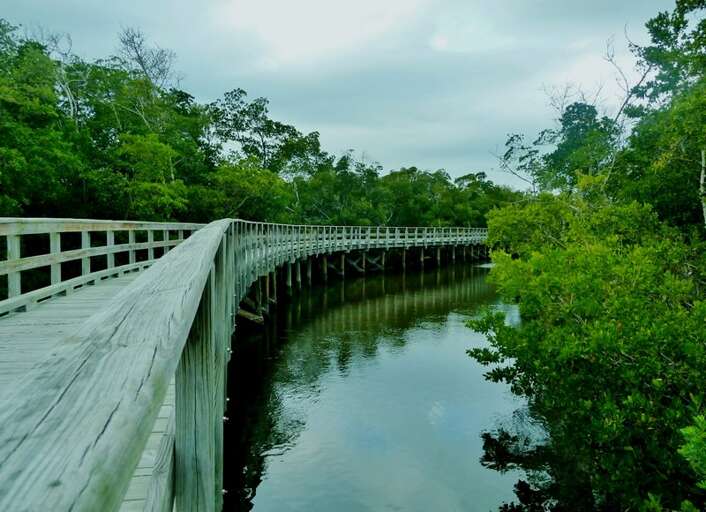 Take a Walk, Bike or Kayak at Robinson Preserves; Dogs Allowed