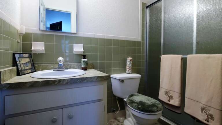 En Suite Bath with Walk-In Shower