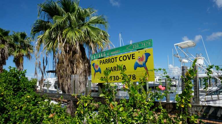 Parrot Cove Marina Rentals and Boat Launch