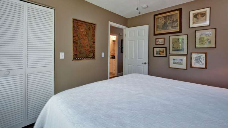 Queen Bed and Large Walk-In Closet