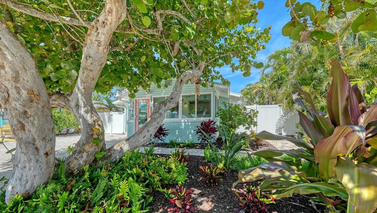 Return to secluded bliss