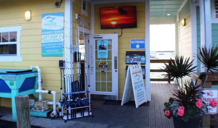 Charter a Dolphin/Fishing or Sunset Tour at the Pier