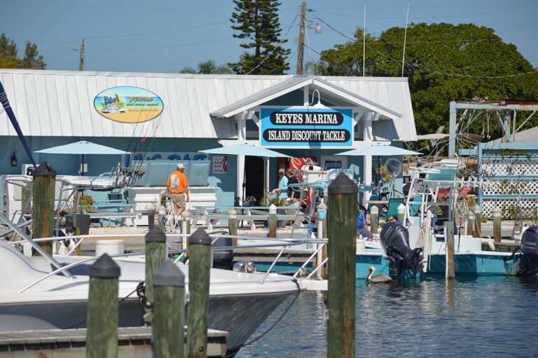 Or Charter a Captain and Head Out to Open Waters