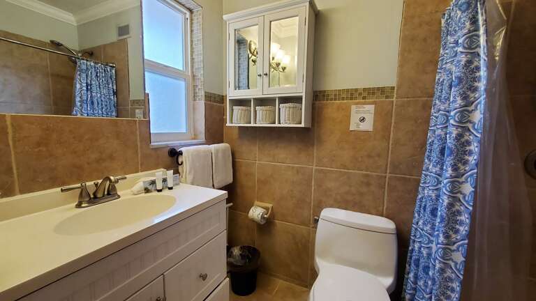 Walk-in Shower Walk-in Shower