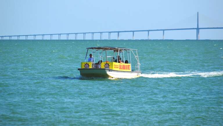 Book a tour to Egmont or Dolphin cruise