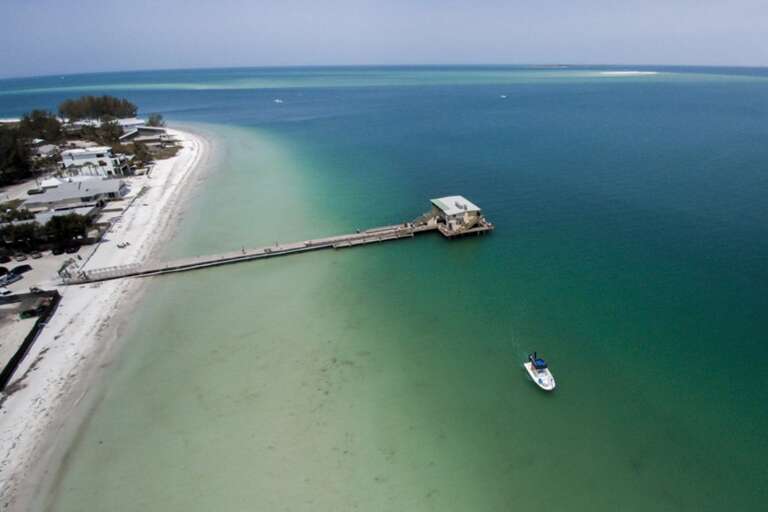 The Rod & Reel offers Great Food and Dolphin Watching