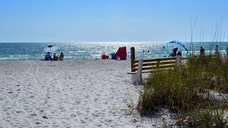 Beach Benches to Relax and Watch the Surf