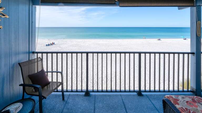 Keep Watch for Dolphins