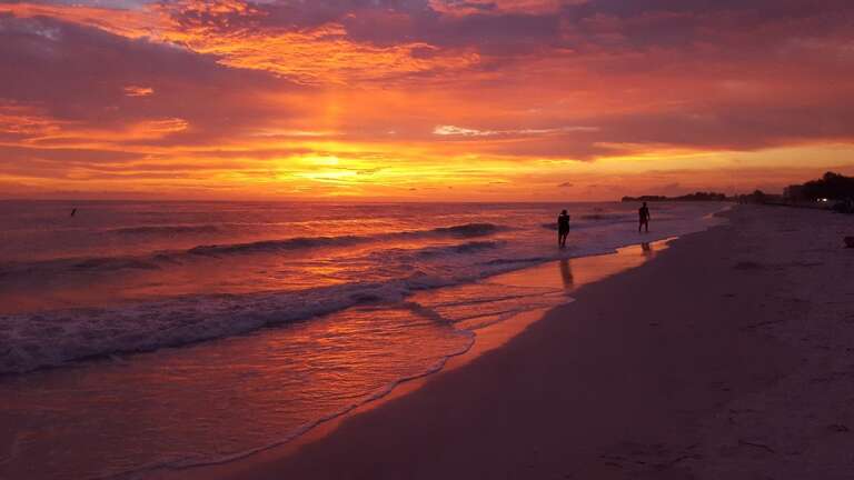 Sunset Strolls - New Every Day