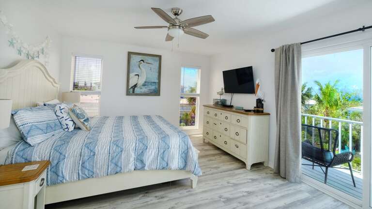 Mounted TV and Balcony