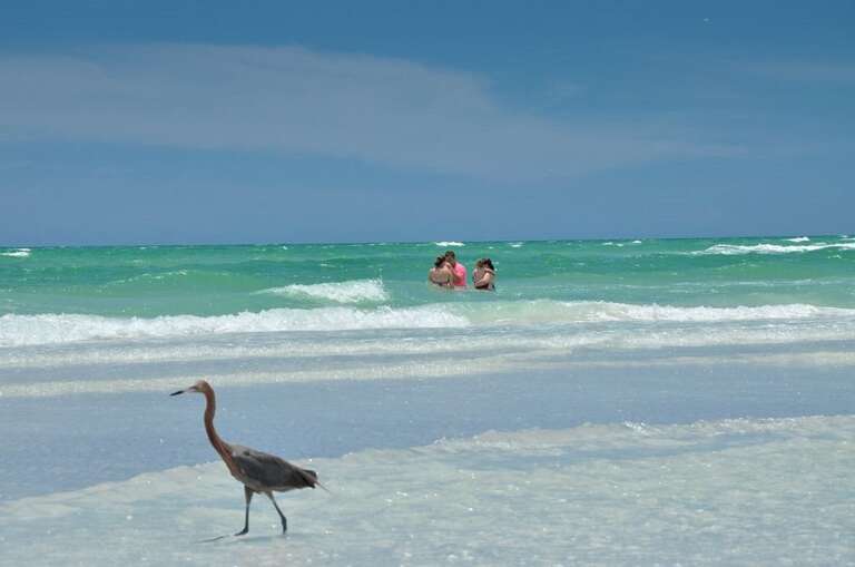 Head to Anna Maria Island Minutes Away