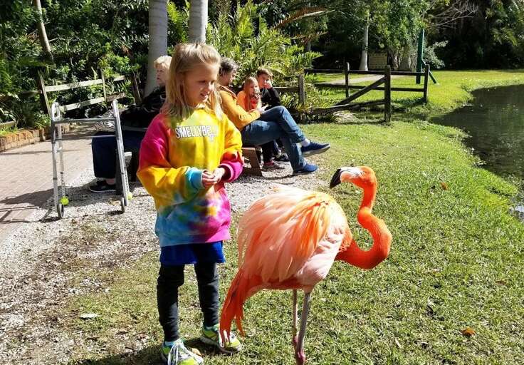 Family Fun at Sarasota Jungle Gardens
