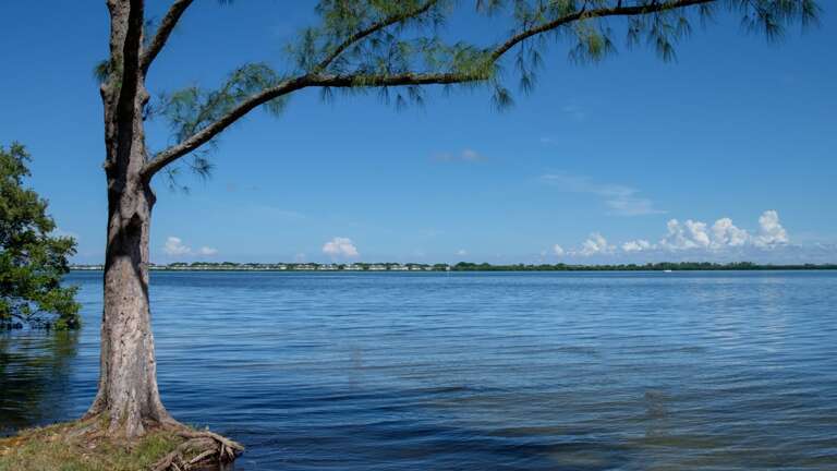 Relax on the Calm Bay Waters