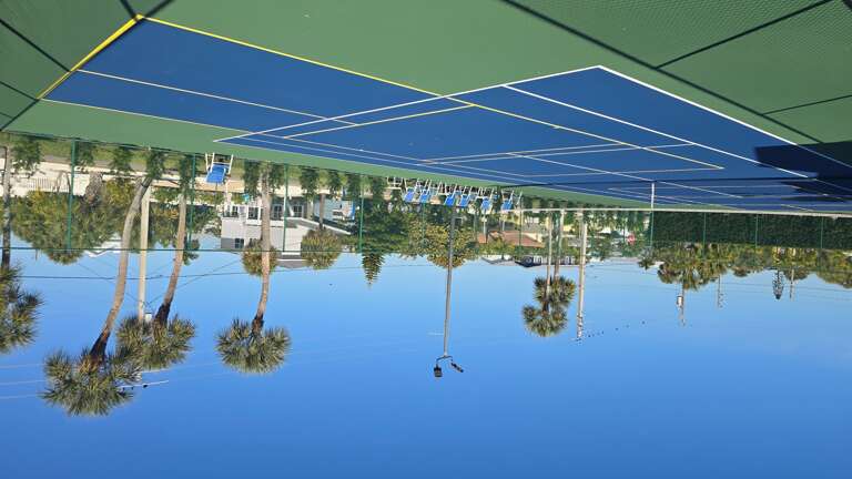 Play Pickleball or tennis on Private Court