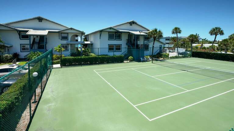 Play Tennis or Pickleball