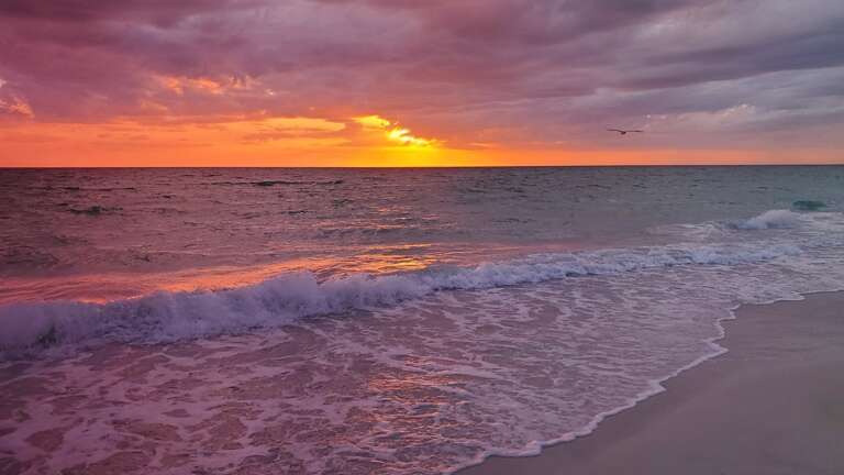 Stay for Sunset - A New Show Every Night!