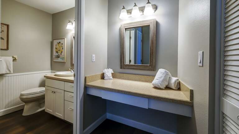 Extra Vanity and Walk-In Closet