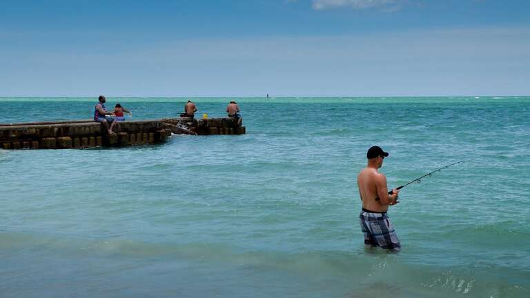 Fish from Shore or Rent a Charter Fish from Shore or Rent a Charter