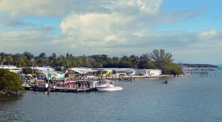 Stray Dog Fishing Charter at Cortez Bridge