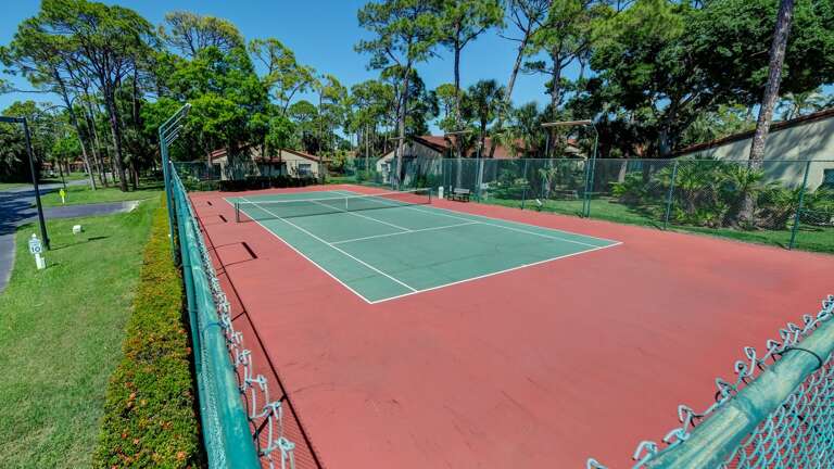 Play Tennis or Pickleball