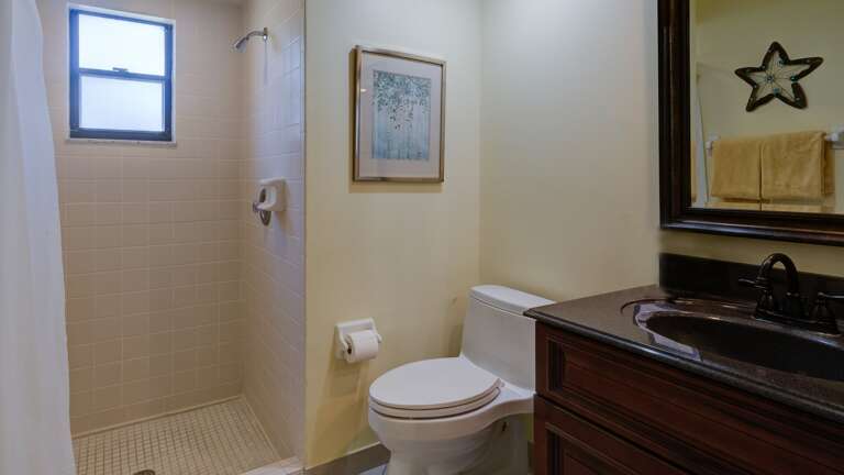 Main Bathroom with Walk-in Shower
