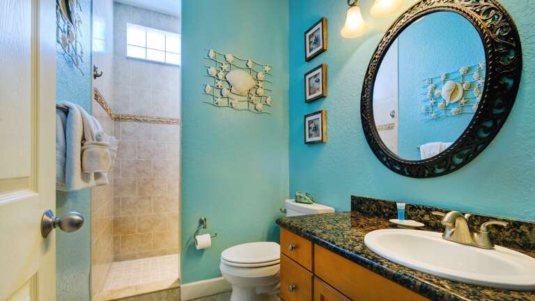 Second bath with walk-in shower