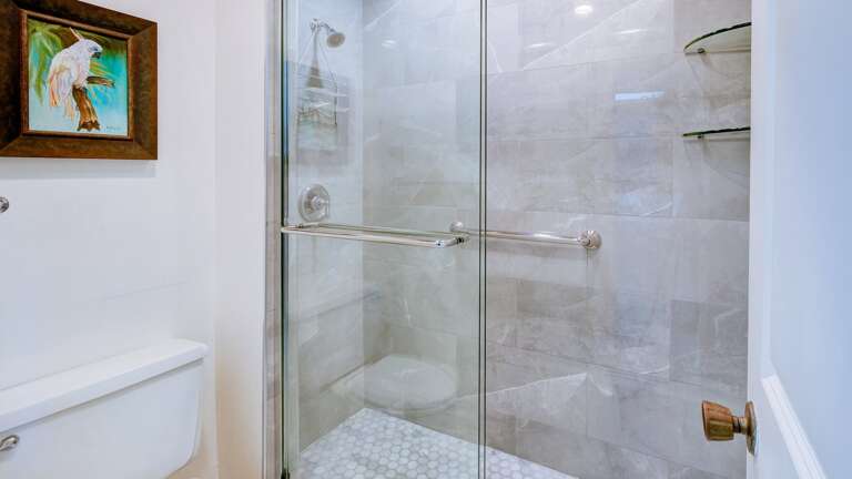 Walk-In Shower